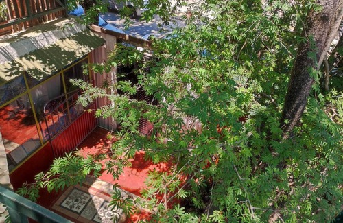 Tigre Apartment | Precioso Estudio con Impresionante Terraza
