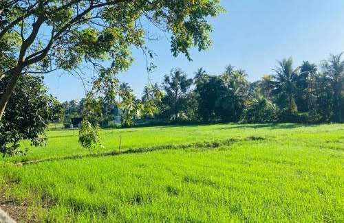 Kurunegala Bed & Breakfast | Premium Cottages B&B