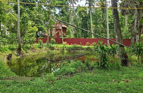 Pattanakkad House | Premium home stay with in-house Ayurveda body massage