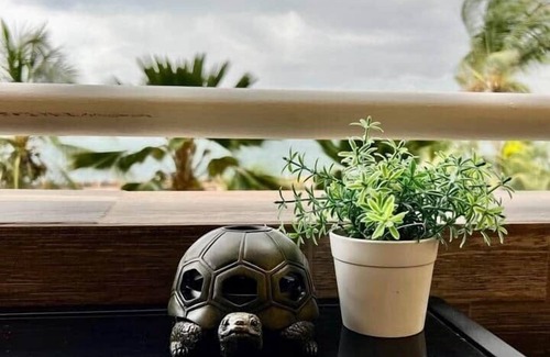 Lecheria Apartment | Premium Lecheria | Oceanfront, Pool, and Relaxation