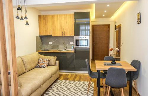 Lisina Apartment | President Kop Apartmani