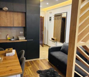 Kopaonik Apartment | President kop s11 Wellness&spa Free