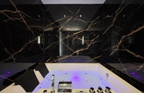 Roanne Apartment | Prestige Jacuzzi & Clim, parking - Roanne centre-ville