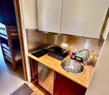 Saint-Etienne-en-Devoluy Apartment | Pretty family nest in front of snow