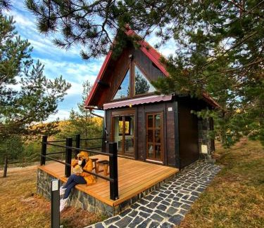 Zlatibor Ski Chalet | Previja Zlatibor Chalet