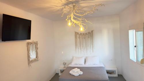 Milos House | Prickly Pear House