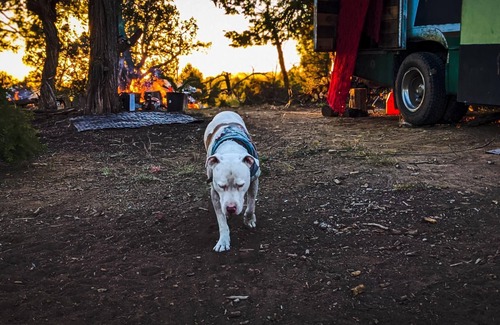 Cortez RV Rental | PRIMITIVE CAMPING W/VIEWS OF MESA VERDE NATIONAL PARK & SLEEPING UTE