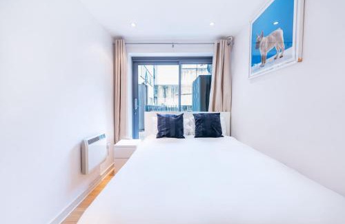 Euston Apartment | Prince William Apartment