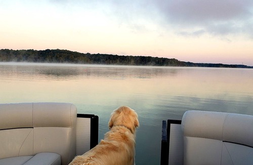 Clarksville House | PRIVACY & SERENITY! STUNNING LAKE HOME AT BOULDER COVE WITH PRIVATE DOCK!