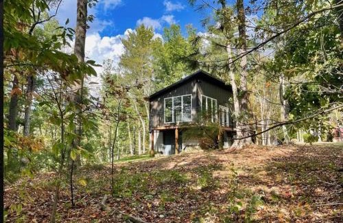 Nimitz Apartment | Private 19 Acre Forest Cabin for 2 with Fireplace and WiFi
