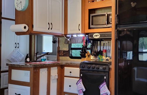 Bearss Plaza House | Private 2 bedroom 2 bathroom whole home dog friendly quiet Hideaway in Tampa Bay