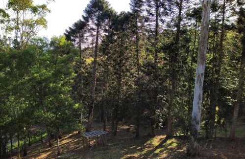 North Maleny House | Private 3-Bedroom House Nestled High Amongst the Trees