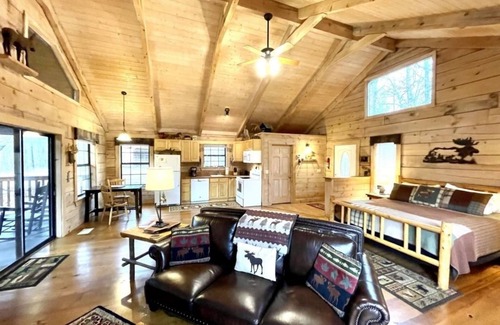 Tellico Plains Cabin | Private and Perfect! - hot tub, king bed, fireplace - dog and motorcycle friendly Studio Cabin by RedAwning