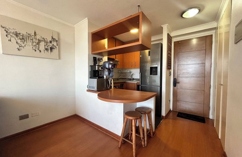 Downtown Santiago Apartment | Private apartment in Santiago