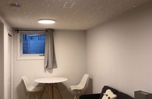 Northwest Calgary House | Private bathroom, living room with projector - Basement Suite for 3