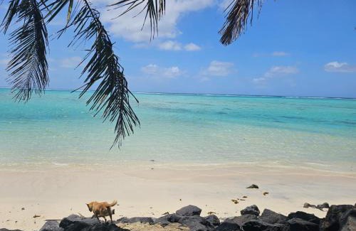 Asaga House | Private Beach House - Barbara's Fale