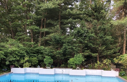 Dix Hills Apartment | Private bedroom & living rm/kitchenette w/ desk and use of pool