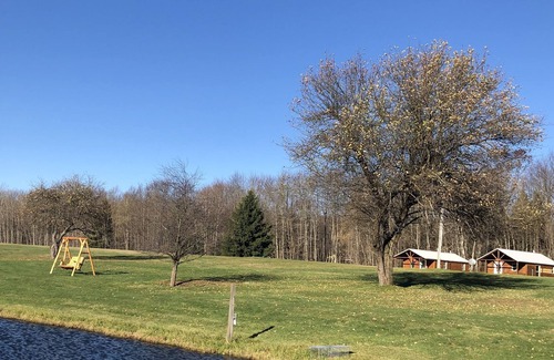 Bemus Point Cottage | Private cabin on acreage Bemus point Chautauqua New York