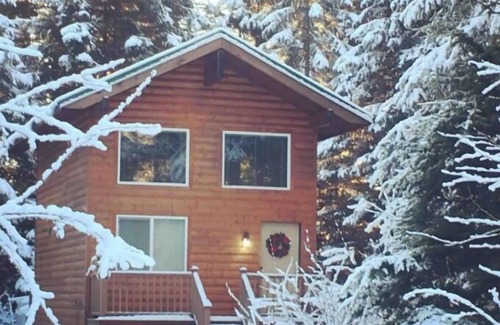 Bear Creek Cabin | Private Cabin with Open Loft - Sleeps 3-6
