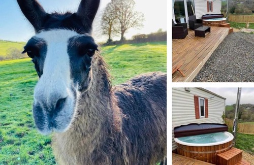 Liskeard Ski Chalet | Private country caravan surrounded by fields