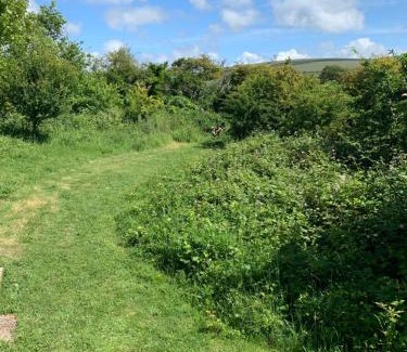 Rottingdean House | Private Countryside Holiday Cabin 10 mins from Brighton