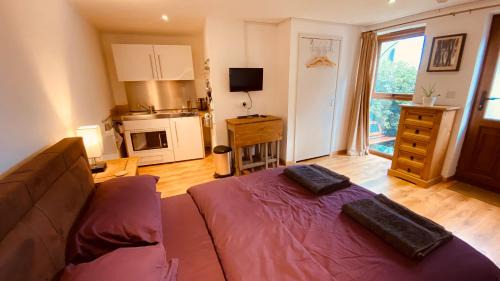 Isleham Apartment | Private Detached Annex in Isleham Village