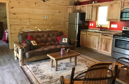 Topton Cabin | Private dock, Wifi, Lakefront, Rustic Appalachian Cabin on Nantahala Lake!