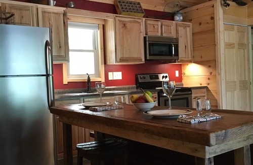 Topton Cabin | Private dock, Wifi, Lakefront, Rustic Appalachian Cabin on Nantahala Lake!