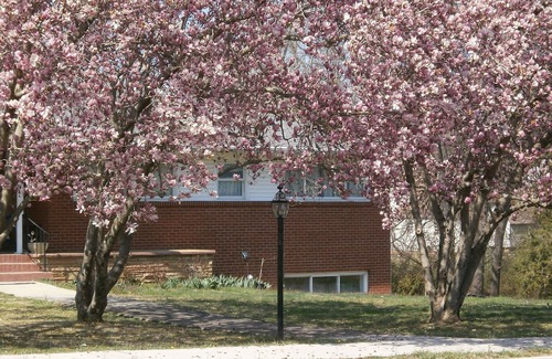 Knoxville Apartment | Private Entrance with Carport Parking!