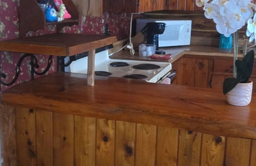 Olmstedville Cabin | Private Family Friendly, views of adk mountains! 15 min away from Gore Mountain!