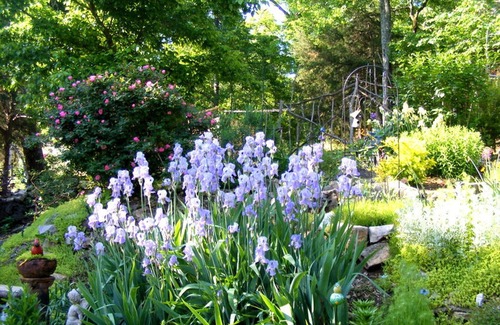 Hardy Villa | Private French Manior overlooking the Spring River