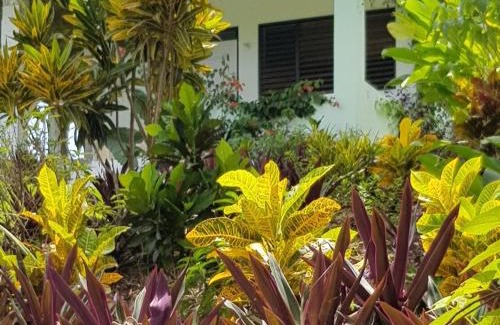 Orange Bay Apartment | Private Hilltop - Garden Apartment - Orange Bay