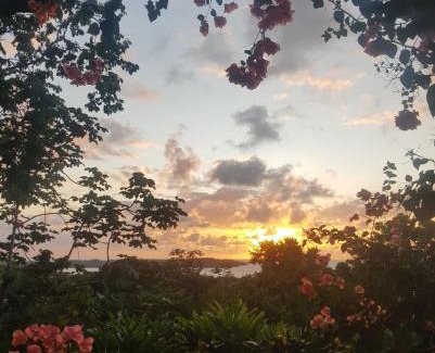 Orange Bay Apartment | Private Hilltop - Garden Apartment - Orange Bay