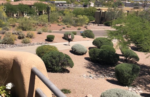 Fountain Hills House | Private Home on Acreage with oasis Backyard. Stunning Views Quiet Pool can heat
