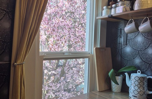 Logan House | Private Loft in 2 Story Victorian, Billiken Inn
