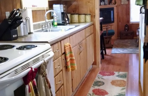 Waynesville Cabin | Private Mountain Cabin With Loft/Hot Tub/Stream and pet friendly
