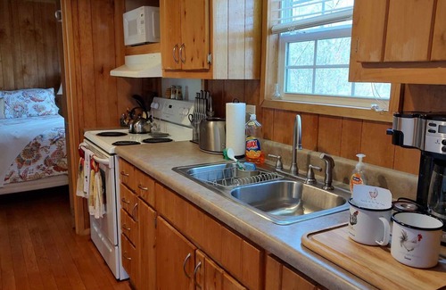 Waynesville Cabin | Private Mountain Cabin With Loft/Hot Tub/Stream and pet friendly