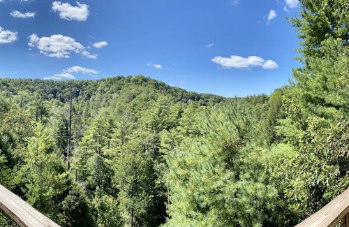 Jasper Cabin | Private Mountain View cabin on 5 acres, great patio with creek below back patio.