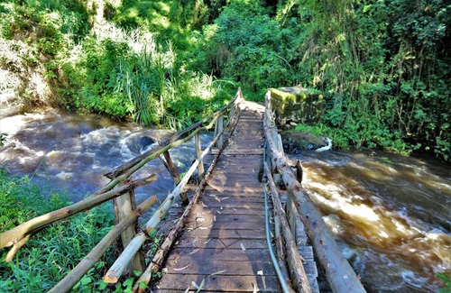 Aberdare National Park Resort | Private room ∙ 2 guests