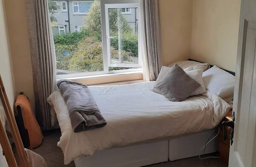 Dublin Resort | Private room ∙ 1 guest