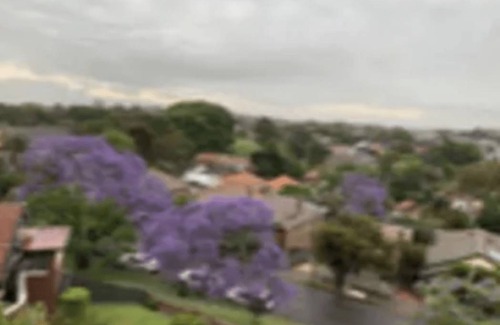 Arncliffe Resort | Private room ∙ 1 guest
