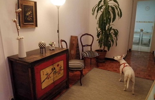 Arapiles Resort | Private room ∙ 1 guest