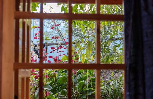Hau Thao Resort | Private room ∙ 1 guest