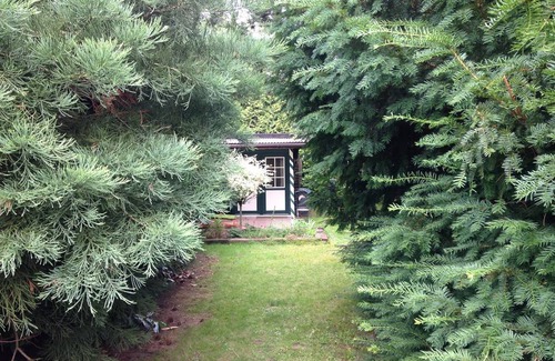 Hilden Resort | Private room ∙ 1 guest