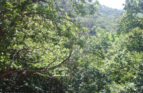 Montes de Valdueza Resort | Private room ∙ 2 guests