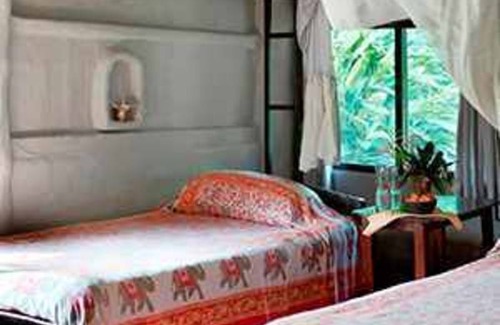 Sauraha Resort | Private room ∙ 2 guests