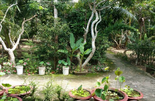 Phu Duc Resort | Private room ∙ 2 guests
