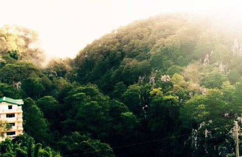 Sagada Resort | Private room ∙ 2 guests