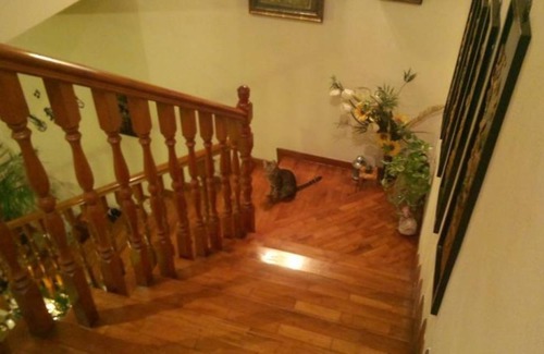 Yishun Resort | Private room ∙ 2 guests