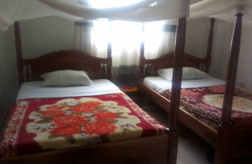Kibale Resort | Private room ∙ 2 guests